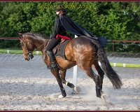 2-13JUIN 0822